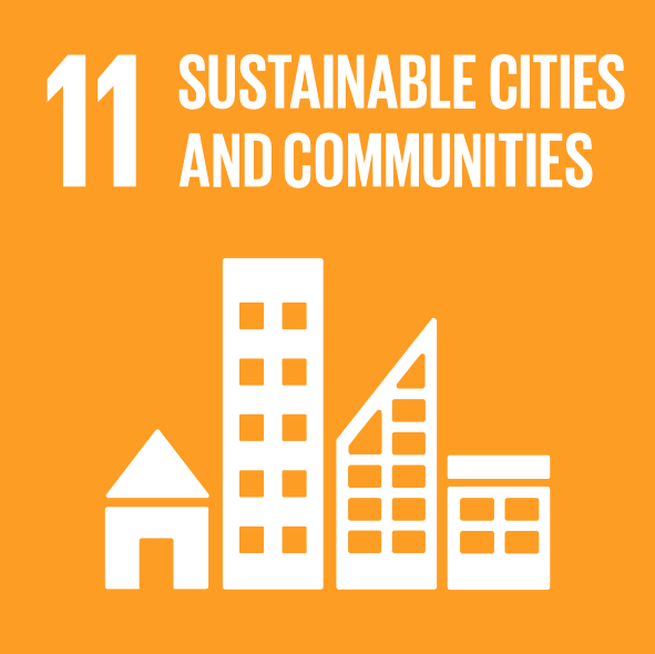 SDG11